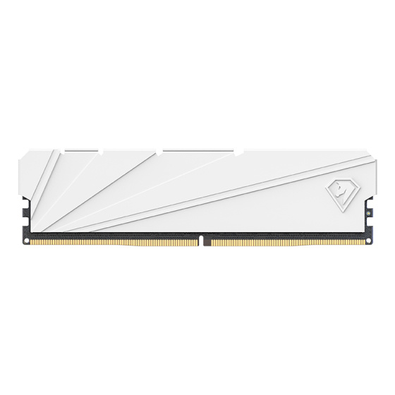 Netac DDR4 DIMM 8GB NTSSD4P32SP-08W PC4-25600, 3200MHz