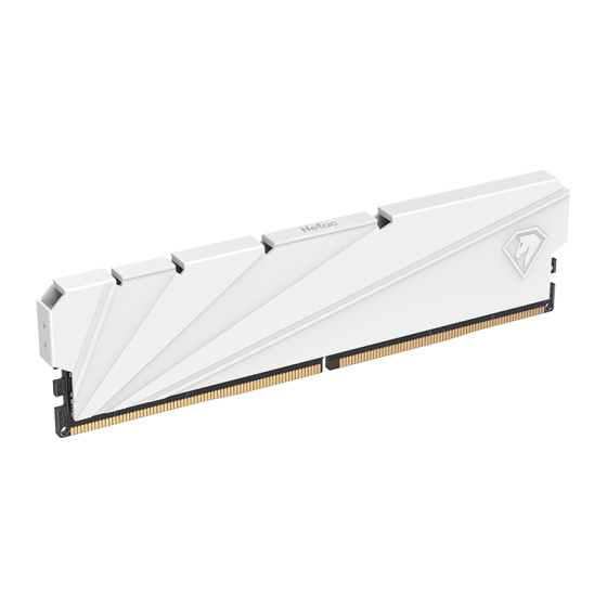 Netac DDR4 DIMM 8GB NTSSD4P32SP-08W PC4-25600, 3200MHz