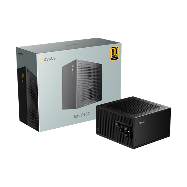 Ocypus Iota P750, 750W, APFC, 80+ Gold, ATX 3.1, Fully Modular, 120mm Fan (P750-GF)
