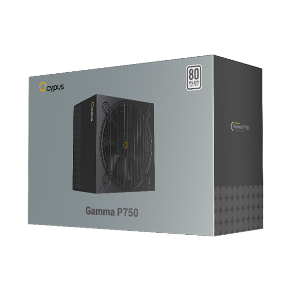 Ocypus Gamma P750, 750W, APFC, 80+, 120mm Fan (P750-W)