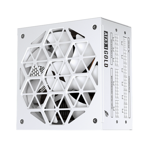 1STPLAYER ACK GOLD 750W White / ATX 3.1, PCle 5.1, APFC, 80 PLUS Gold, LLC+DC-DC, full Teapo caps, 140mm fan, full modular / HA-750BA2-WH