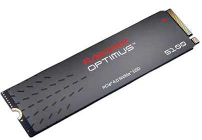 SanDisk SSD Optimus 5100 M.2 2280 NVMe 500Gb, 6600MBs/5600MBs TBW 300, SDSP51500GAN, 1 year (незначительное повреждение коробки)